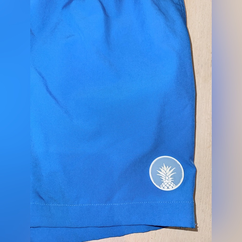 Chubbies Mens Classic 5.5” Mesh Brief-lined Stretch Swim Trunks The Sea Salts XL - Picture 10 of 14